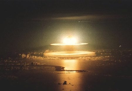 ¿Por qué las cucarachas podrían sobrevivir a un holocausto nuclear?