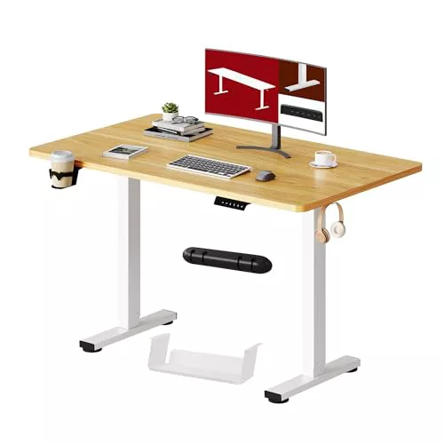 SANODESK QS1 110 x 54 cm Escritorio Elevable Eléctrico 