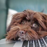 EPA del cuarto trimestre del 2020: la mayor destrucción de empleo desde 2012 en España, con más de 600.000 nuevos parados