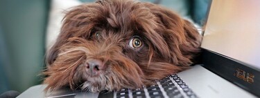 EPA del cuarto trimestre del 2020: la mayor destrucción de empleo desde 2012 en España, con más de 600.000 nuevos parados