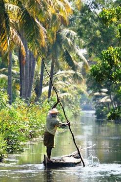 Una gallega en la India: Viajando por Kerala