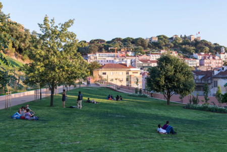 Jardim Da Cerca Da Graca