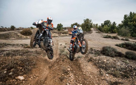 Ktm 790 Adventure R Prototype 2019 3