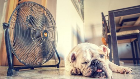 Los mejores ventiladores según los comentaristas de Amazon