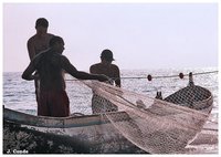 ¿Qué tienen en común trabajadores de los Registros y los pescadores? salarios ligados a beneficios