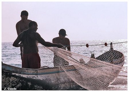¿Qué tienen en común trabajadores de los Registros y los pescadores? salarios ligados a beneficios