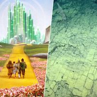 Nos hemos encontrado otro camino de baldosas amarillas. Pero en vez de en Oz, en las profundidades marinas 