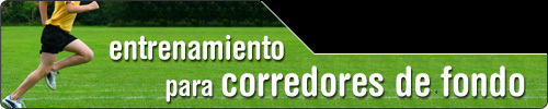 Entrenamiento de fondo