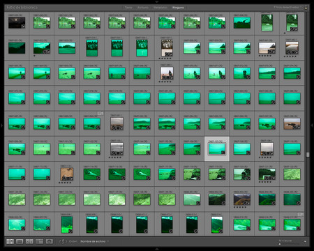 Cómo ahorrar espacio en Adobe Lightroom