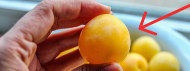 Este truco me lo enseñó mi mamá y es la clave para ahorrar en comida cada mes