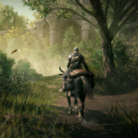 Cómo derrotar a Rellana, Caballera de Luna Gemela en Elden Ring Shadow of the Erdtree