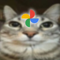 Tu galería ahora es una interminable fuente de memes: Google Fotos convierte tus fotos en memes con IA