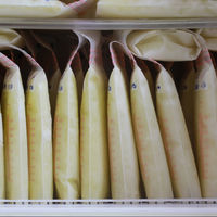 Una madre rompe el récord mundial al donar 1.583 litros de leche materna (700 días extrayéndose leche)