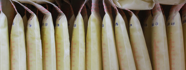 Una madre rompe el récord mundial al donar 1.583 litros de leche materna (700 días extrayéndose leche)