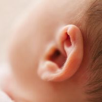 Por qué no se recomiendan los bastoncillos para limpiar la cera de los oídos del bebé