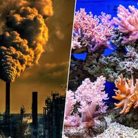 La Tierra está entrando en colapso climático con su primer punto de no retorno. Nuestra única salvación es la tecnología