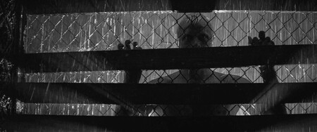 Blade Runner Blanco Y Negro 0004 Blade Runner Blanco Y Negro