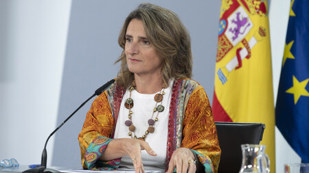 Teresa Ribera 3