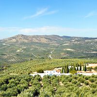 Cada vez más gigantes se meten en el campo andaluz y en la industria del aceite de oliva. El último: PepsiCo