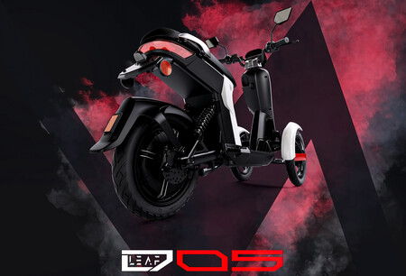 Leaf D05 trasera