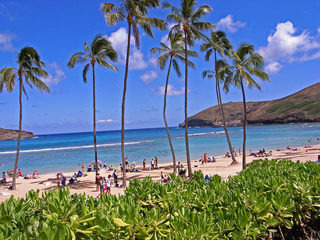 Hanauma Bay