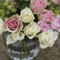 Su padre murió de cáncer, pero antes dejó todo arreglado para que recibiera flores en cada cumpleaños 