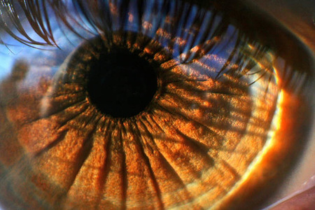 ¿Nos enseñas tu última fotografía macro? La pregunta de la semana