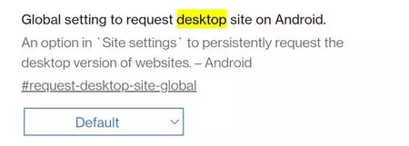 「フラグ」はすでに Chrome Canary に表示されていますが、まだ機能しません