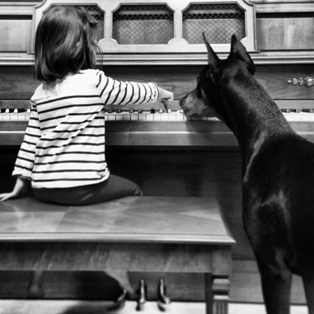 Cutie And The Beast Dog Girl Seana Doberman 76