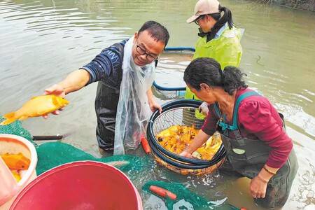 China Produce Alimentos Con Peces Arroz Tecnica Milenaria Xataka Mexico 2