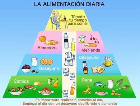 alimentacion