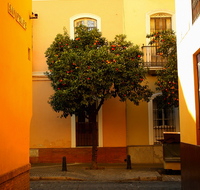 Barrio de Santa Cruz en Sevilla