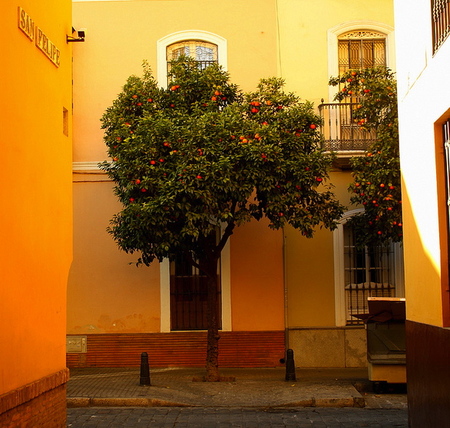 Barrio de Santa Cruz en Sevilla