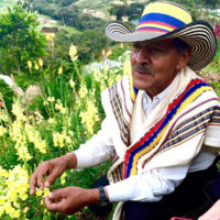 Medellín, la ciudad de la eterna primavera, celebra estos días su Feria de las Flores