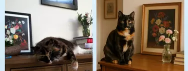 Esta empresa se ha propuesto acabar con el gran problema de las imágenes creadas con IA: ese "no sé qué" que las hace falsas