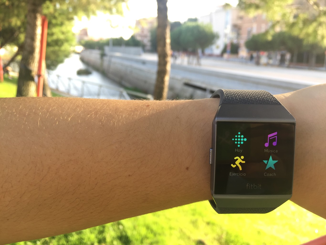 fitbit ionic endomondo