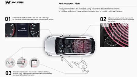 Alerta Ocupante Trasero 10
