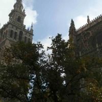 ¿Culto o turismo? El arzobispo de Sevilla pide decoro para visitar la Catedral