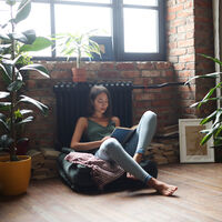 Cinco plantas de interior que con mínimos cuidados tendrás siempre felices y te alegrarán la vista 