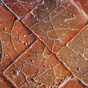 Lidl tiene la solución para tapar los suelos feos o las baldosas rotas de la terraza: es barata y se instala sin obras 