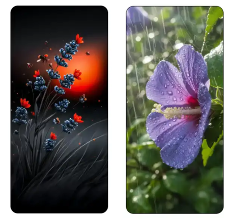 Screenshot 2025 11 27 195411