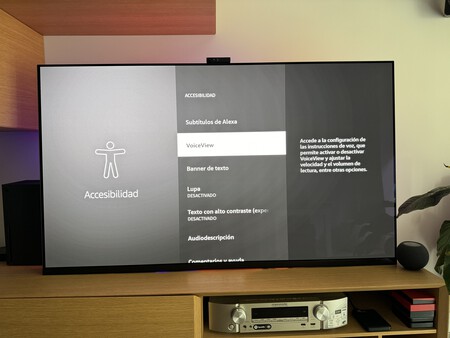 VoiceView