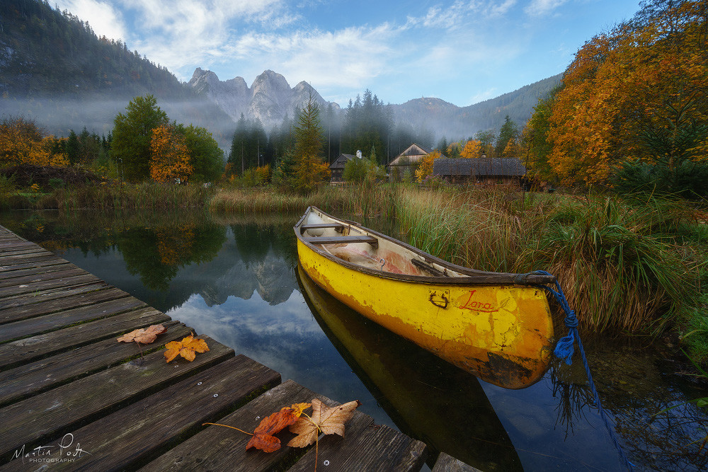 fotografías de bosques de Martin Podt posdata-digital-press