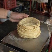 México no deja de comer tortillas, pero ya no las compra en tortillería. En 30 años cerraron el 75% de negocios 