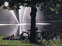Permitido el sexo al aire libre en un parque de Ámsterdam