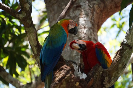 Costa Rica Anabel Palomares 1