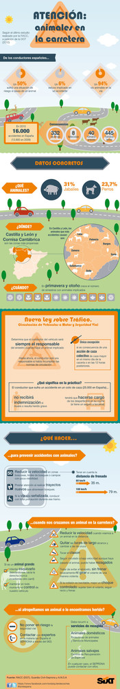 Animales en la calzada