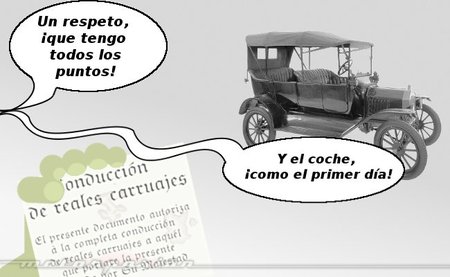 fauna en ruta: conducción mal acompañada