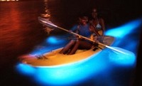Una bahía de aguas luminiscentes en Puerto Rico