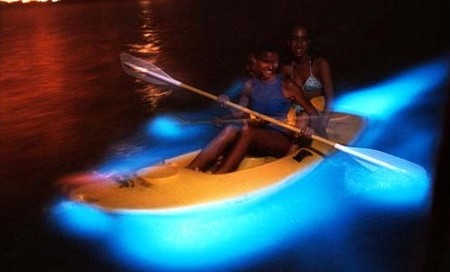 Una bahía de aguas luminiscentes en Puerto Rico